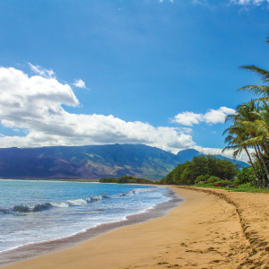 Maui short-term rental regulations